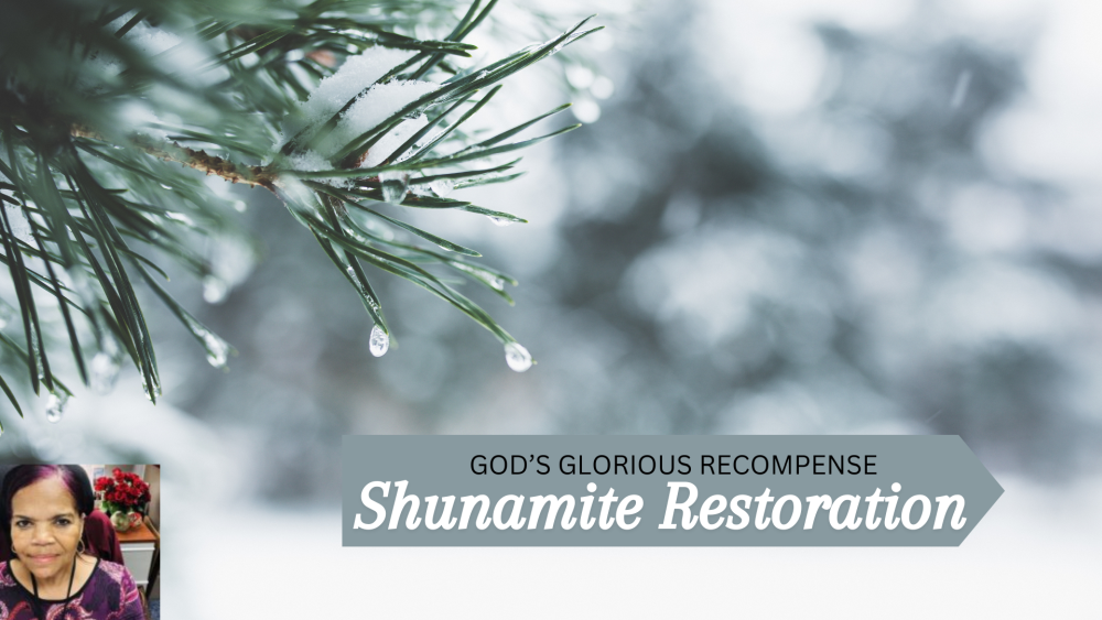 Shunamite's Restoration