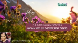 The Blessing Story